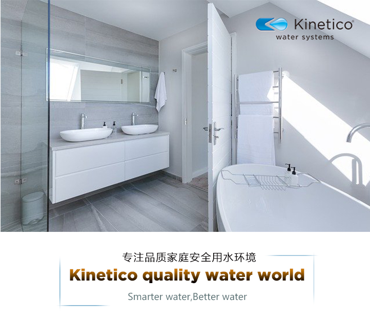 净尊专业型(图1)